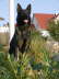 db_Artus_sitz_Garten1