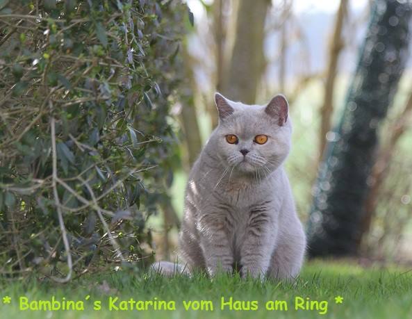 Bambina�s Katarina vom Haus am Ring2
