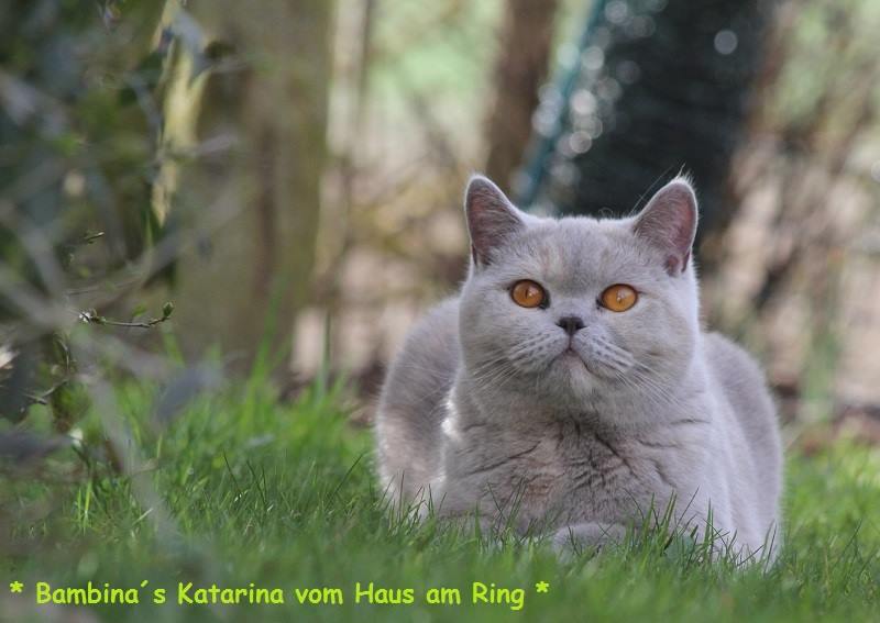Bambina�s Katarina vom Haus am Ring3