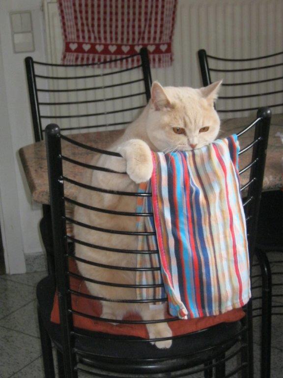 Frau Schnull r�umt auf