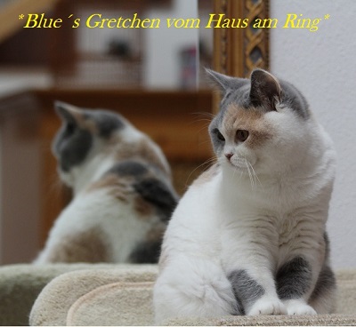 Gretchen mit Spiegelbild 5Mon33