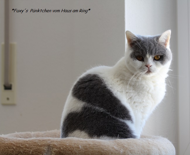 P�nktchen21.03.20182