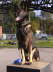 Artus der W�chter