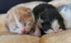 E-Buben09