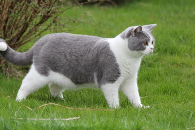 FidelioAprilGarten