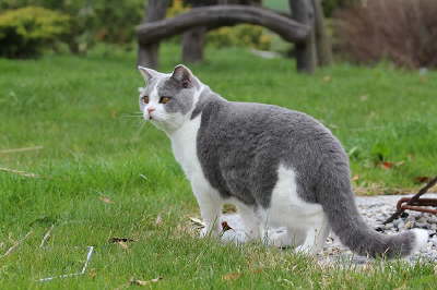 FidelioAprilGarten3