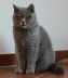 db_Minu_08_05_111