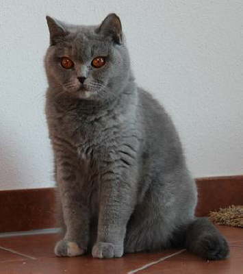 Minu im Mai 2011